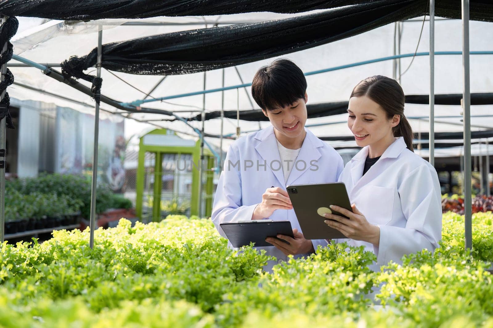 Two researchers in lab coats conducting agricultural research in a modern greenhouse, analyzing data on tablets and clipboards.