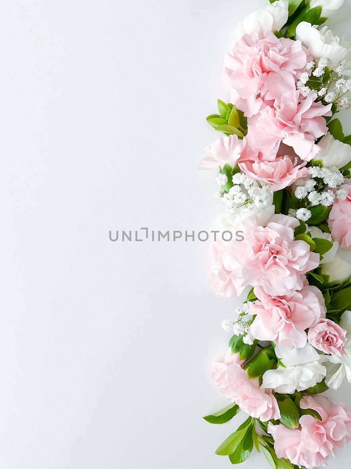 Close up photo of a bouquet of pink and white carnations isolated on a white background. With empty space for text or inscription. For postcard, advertisement or website.