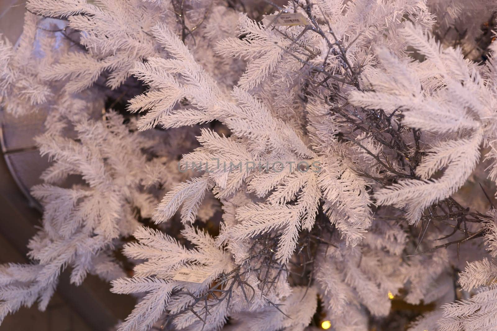 A closeup view of frosted tree branches, ideal for use in winter and holidaythemed creative projects