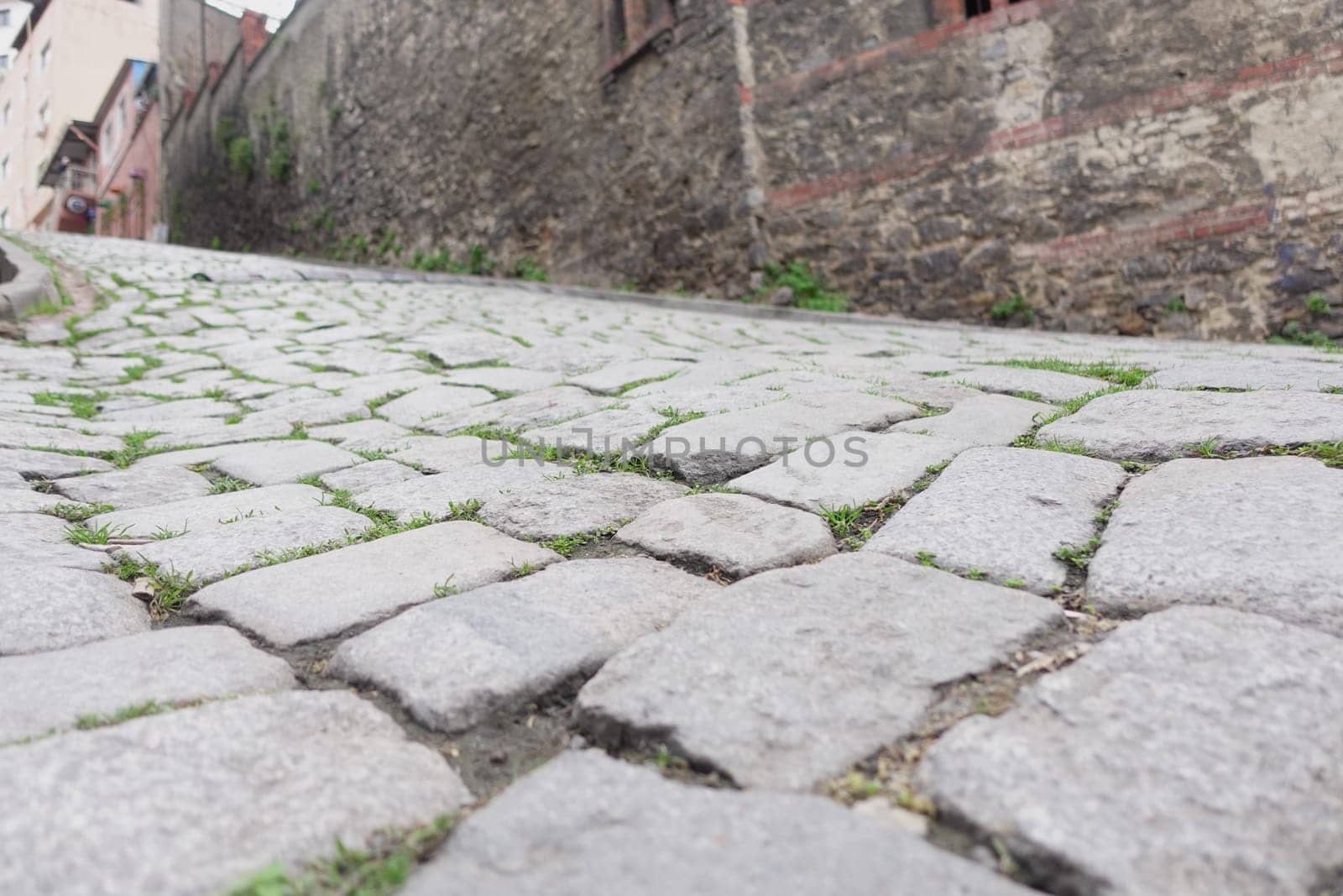 This image shows a closeup of a textured cobblestone street with an intricate pattern