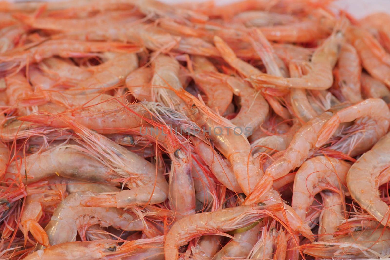 A vibrant and enticing heap of freshly caught mediumsized shrimp, ready to be enjoyed