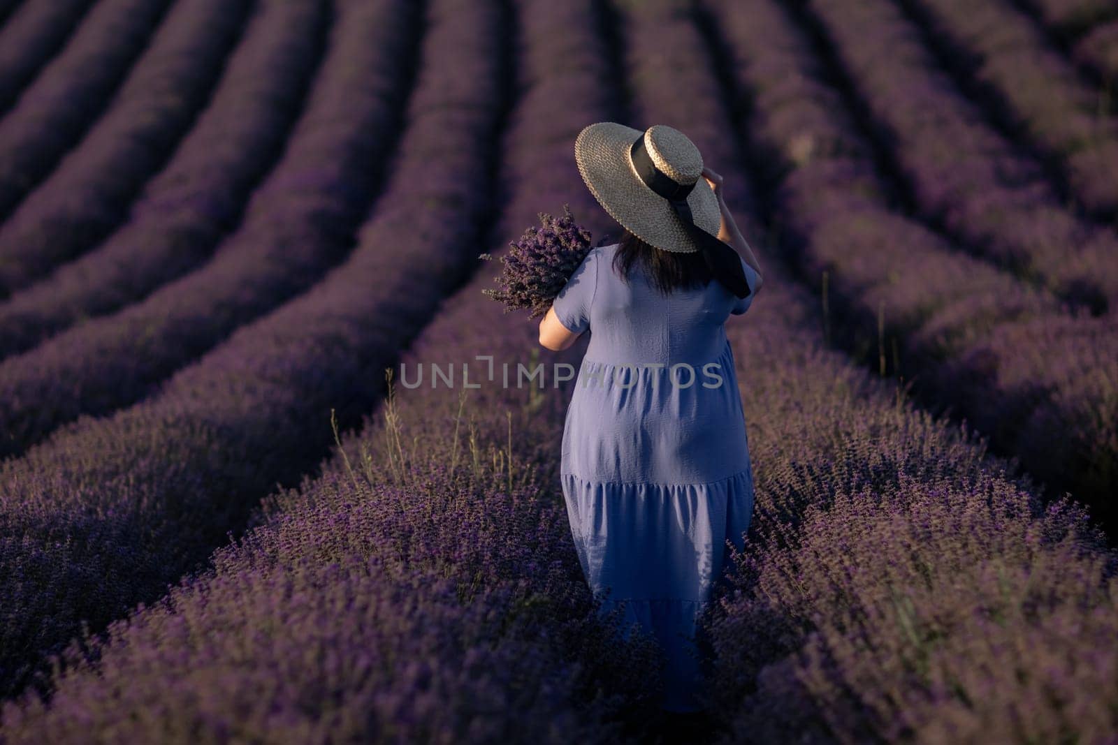 Here's a caption fitting your specifications: Woman in blue dress and wide-brimmed hat walks through a vast lavender field, carrying a bundle of lavender. Rows of purple flowers stretch to the horizon.