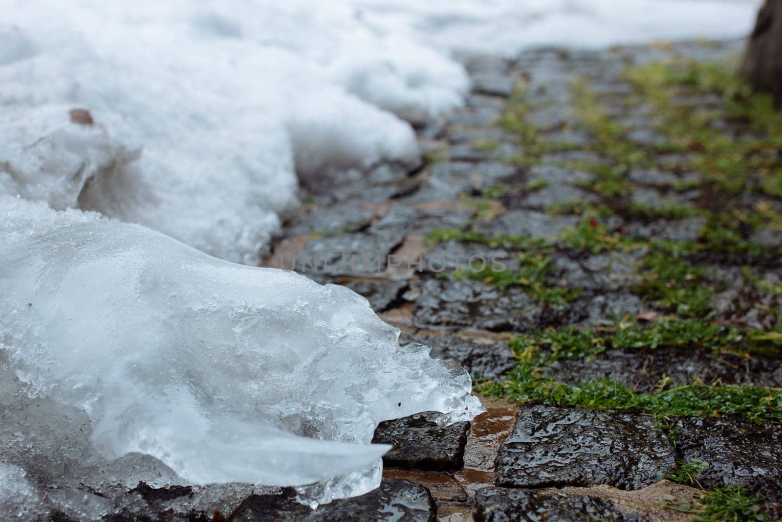 melted snow on paving stones covered with moss.