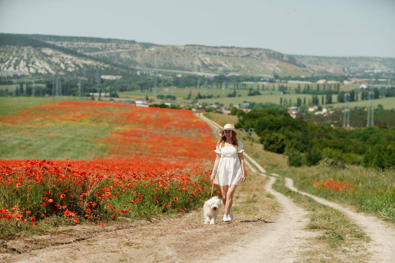 woman with dog. Happy woman walking with white dog the road along a blooming poppy field on a sunny day, She is wearing a white dress and a hat. On a walk with dog.