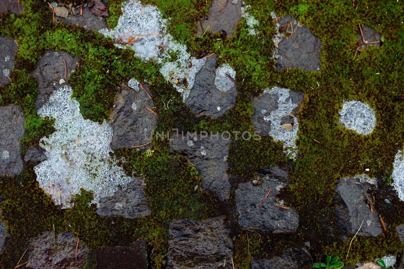 melted snow on paving stones covered with moss.