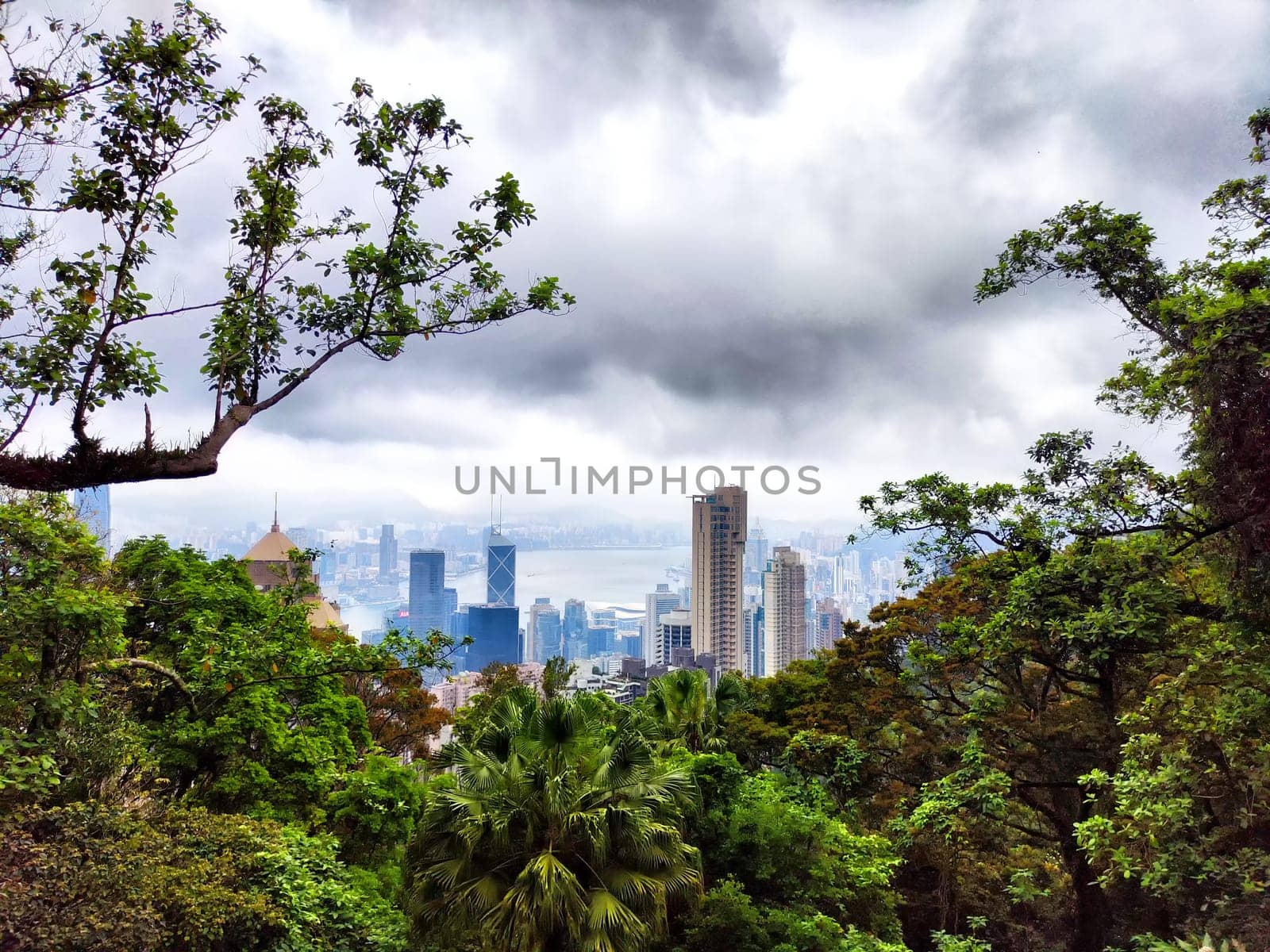 panoramic view of Hong Kong's iconic skyscrapers from above, partially obscured by lush greenery and a hazy sky