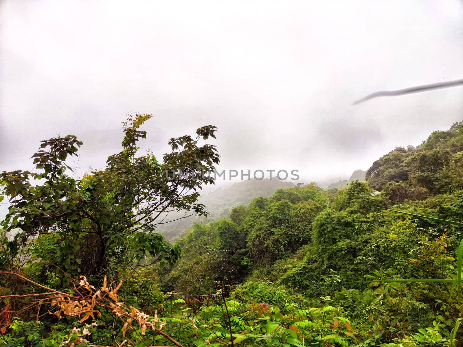 Early morning fog blankets the lush green hills, creating a serene atmosphere in this tropical landscape.