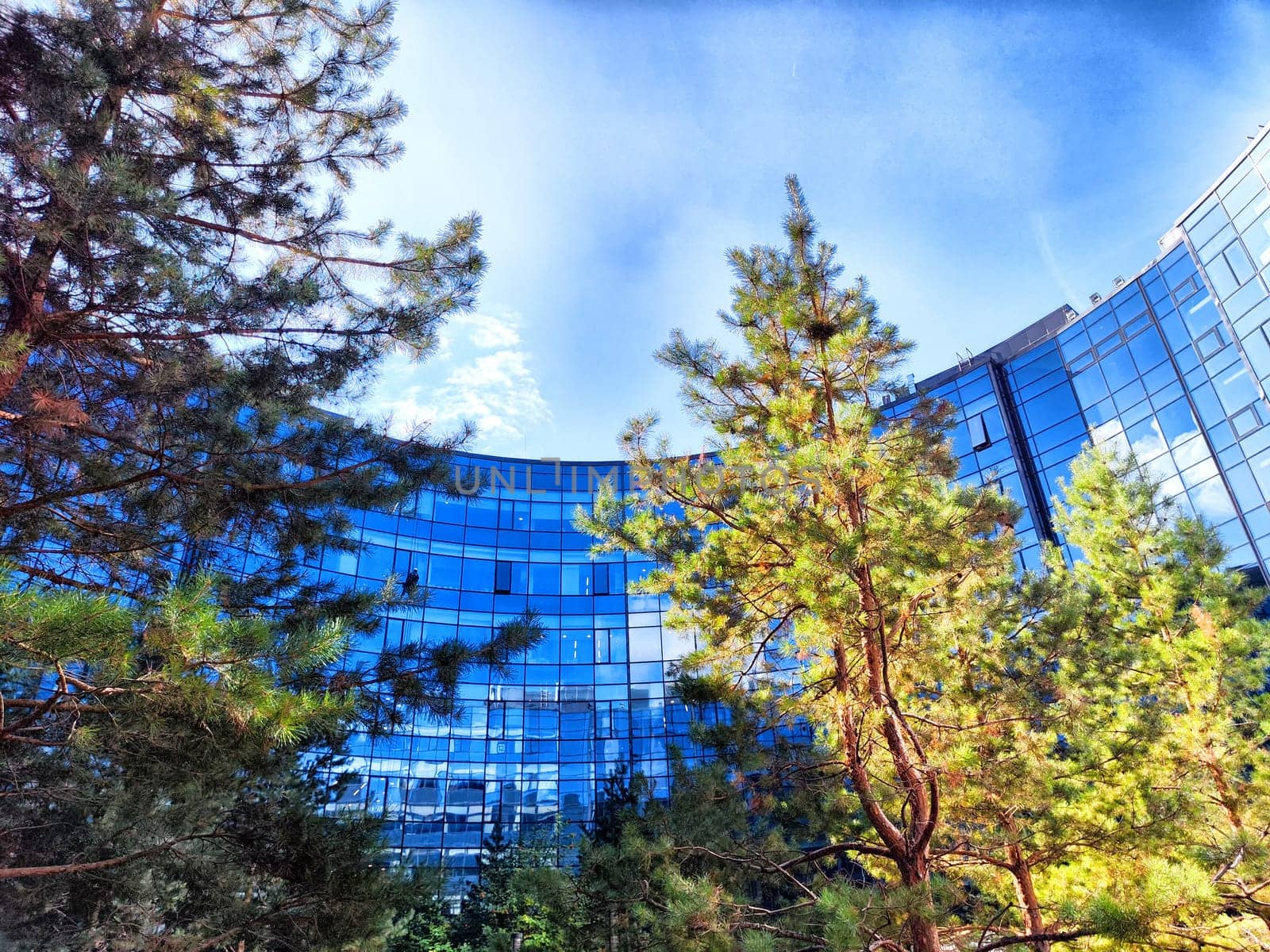A modern building with reflective glass is framed by vibrant green trees under clear blue skies.