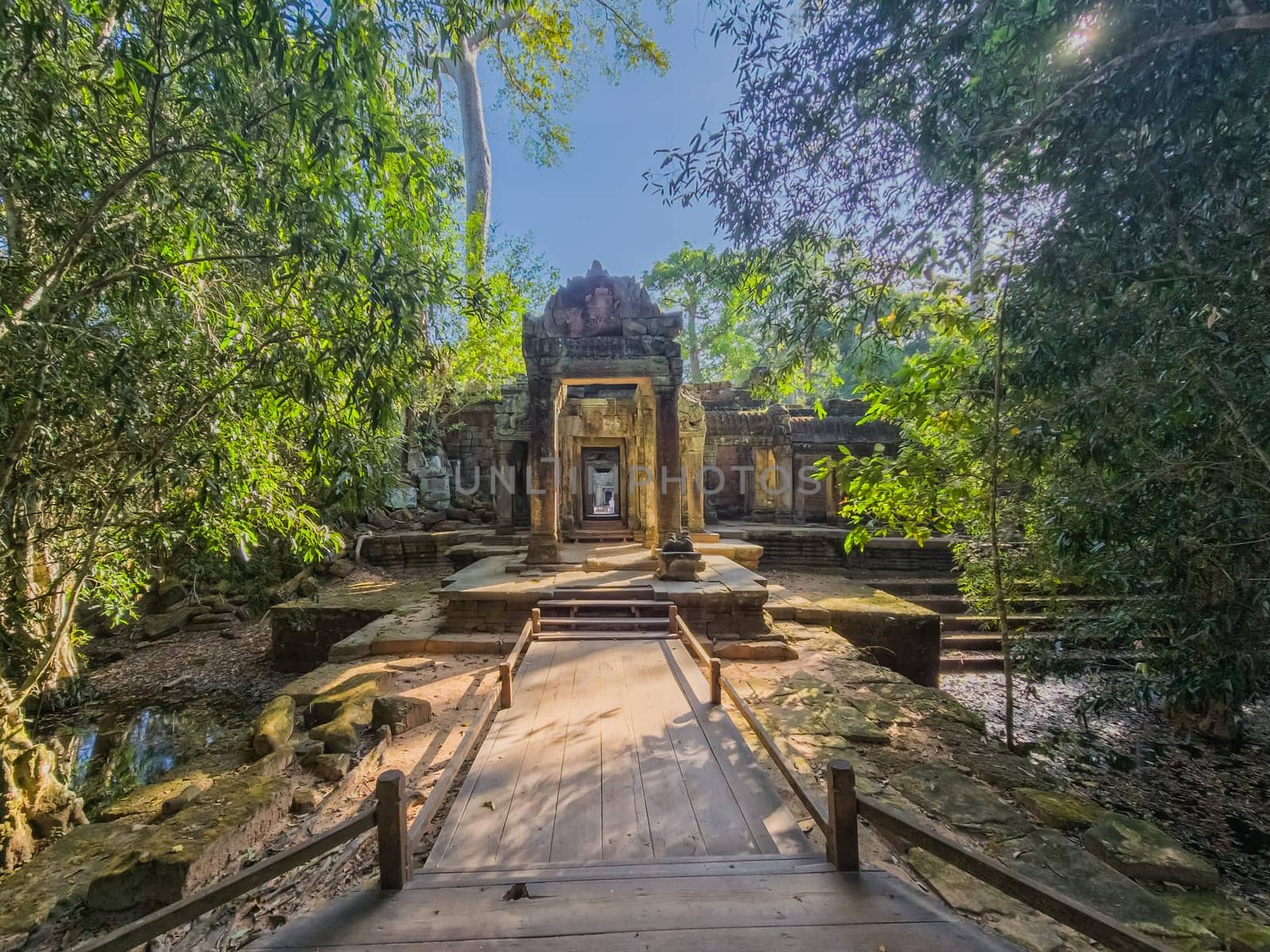 Ruin of ancient Ta Prohm Wat temple in Angkor, Cambodia