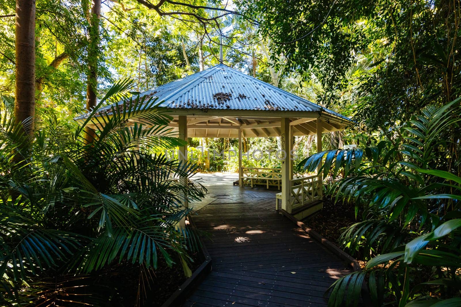 BRISBANE, AUSTRALIA - JULY 29 2023: City Botanic Gardens on a clear winter's day in Brisbane, Queensland, Australia