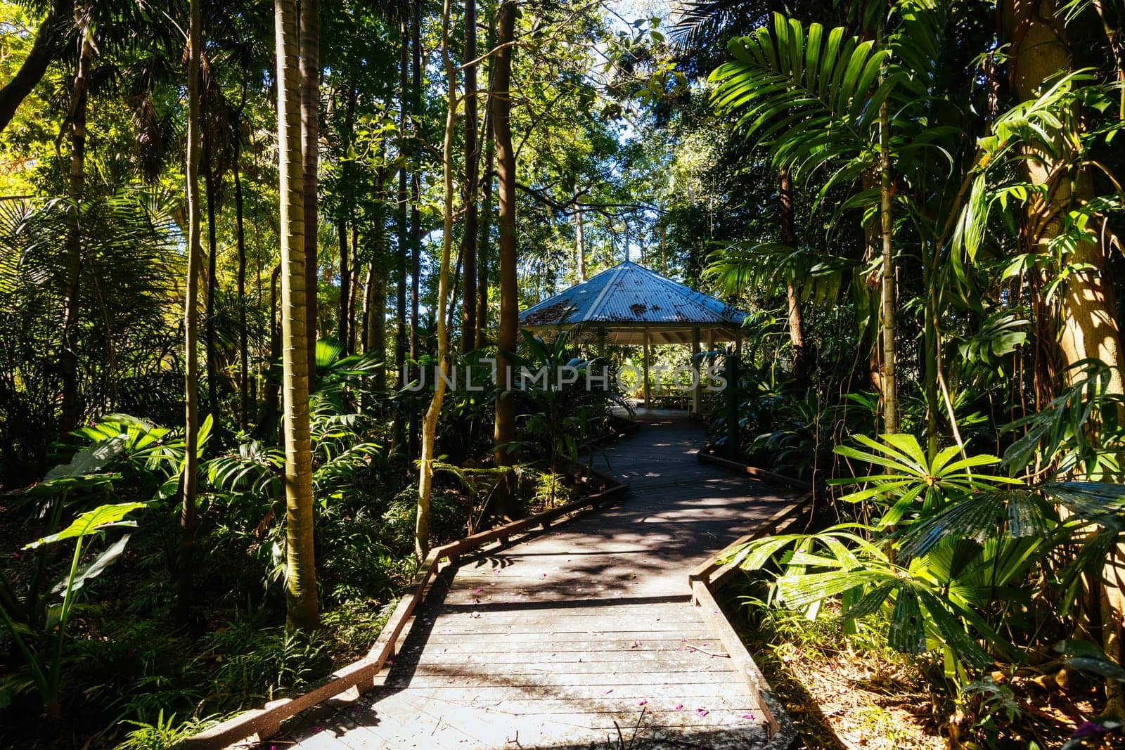 BRISBANE, AUSTRALIA - JULY 29 2023: City Botanic Gardens on a clear winter's day in Brisbane, Queensland, Australia