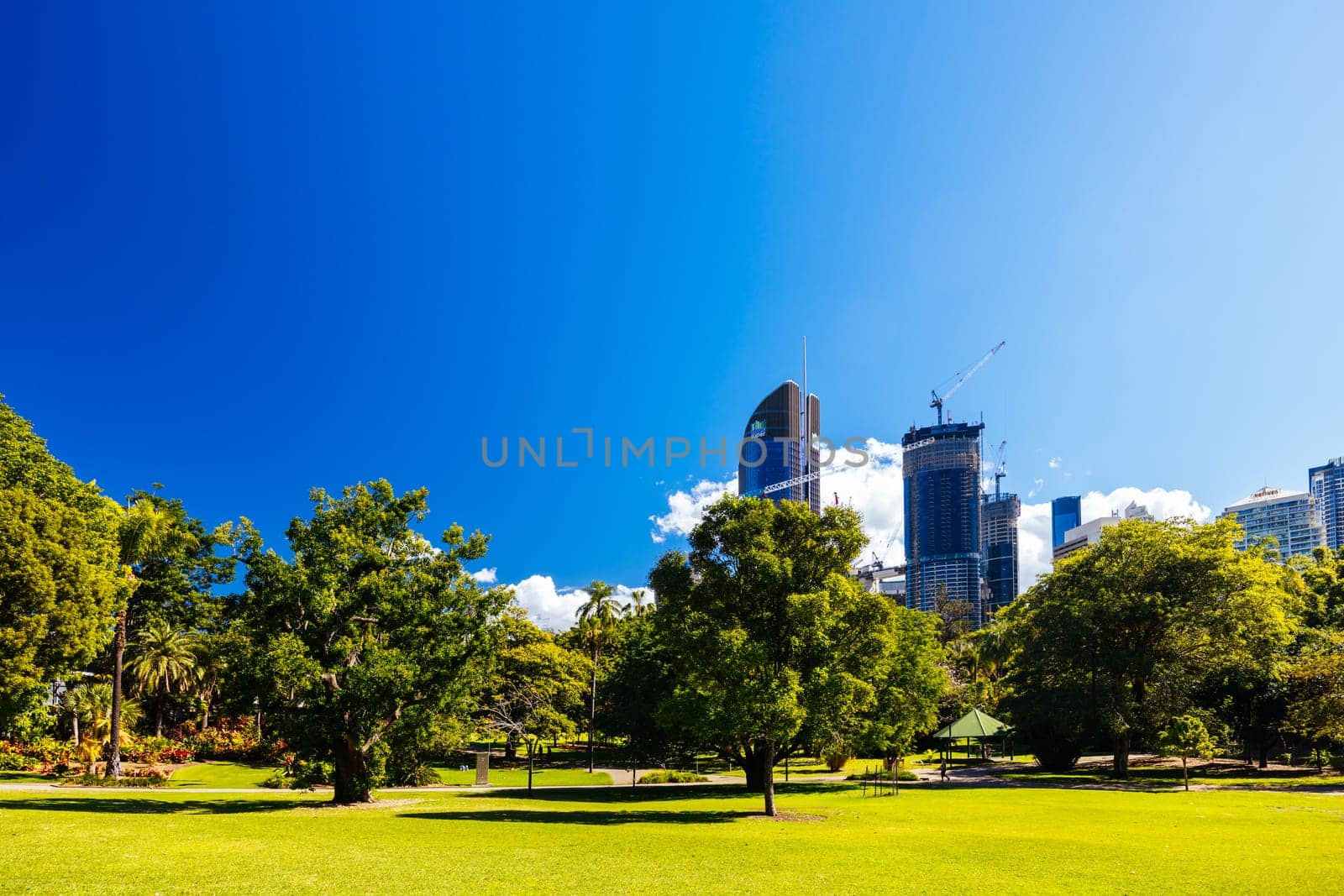 BRISBANE, AUSTRALIA - JULY 29 2023: City Botanic Gardens on a clear winter's day in Brisbane, Queensland, Australia