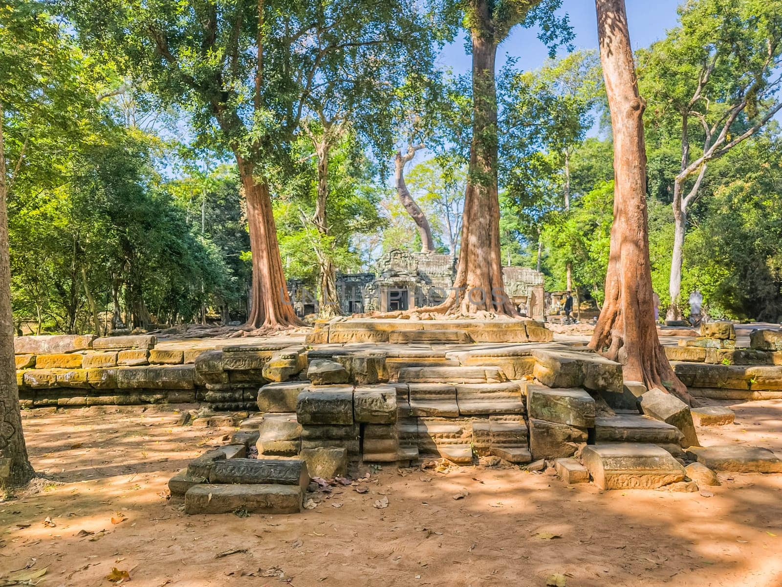 Ruin of ancient Ta Prohm Wat temple in Angkor, Cambodia