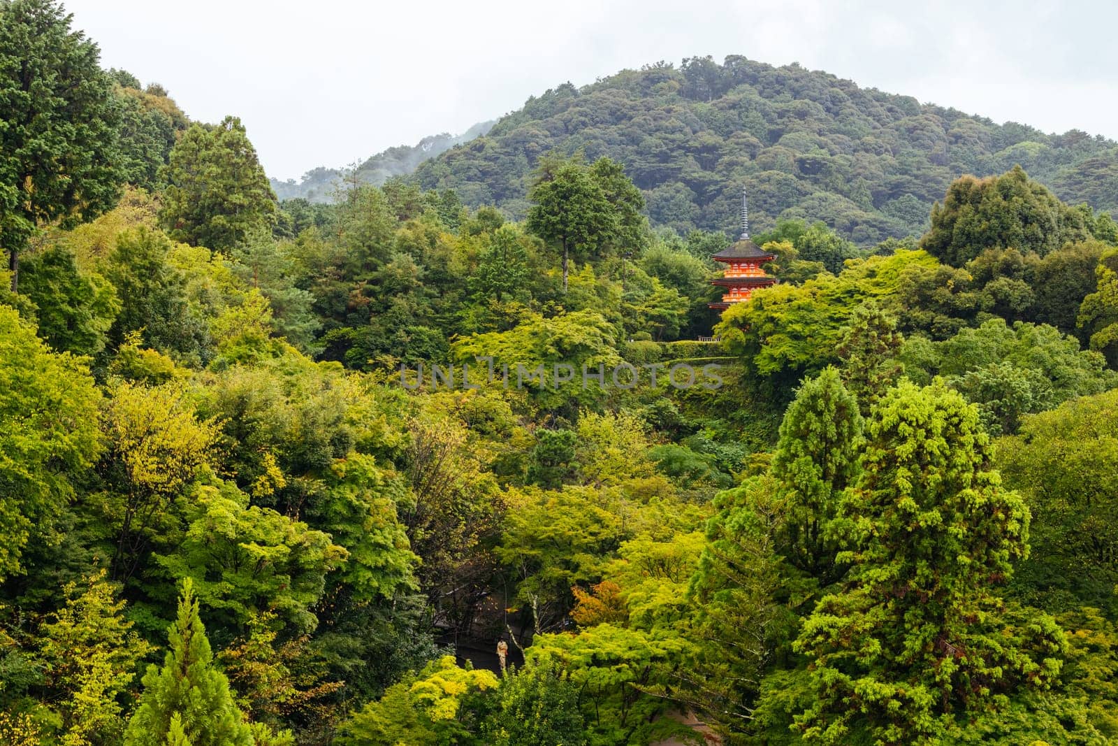 The iconic Kiyomizu-dera temple and mountain view on a sunny spring day in Kyoto, Japan