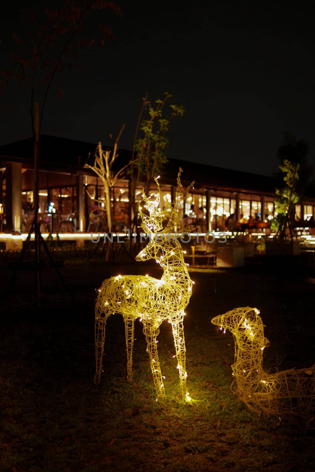 a group of lighted deer statues in a park near the cafe and roaster at night