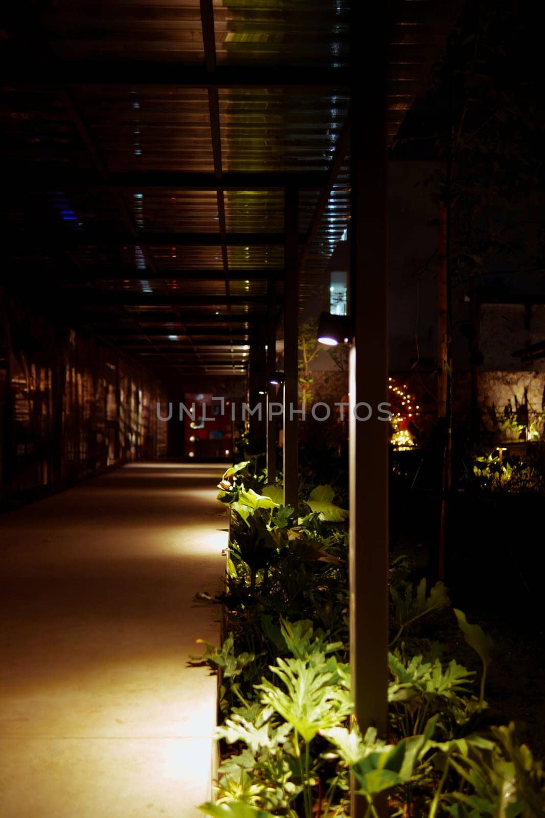 a walkway with plants and lights in the dark at cafe