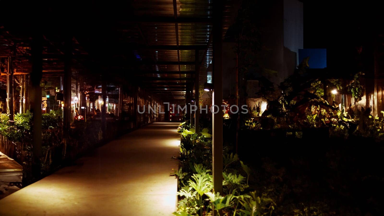 a walkway with plants and lights in the dark at cafe