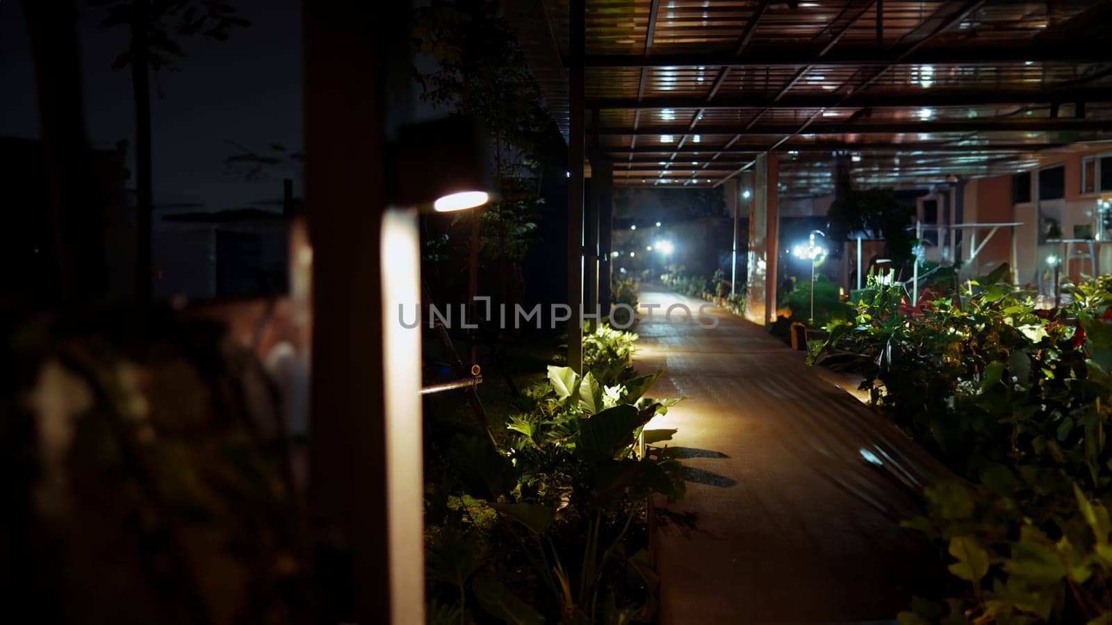 a walkway with plants and lights in the dark at cafe