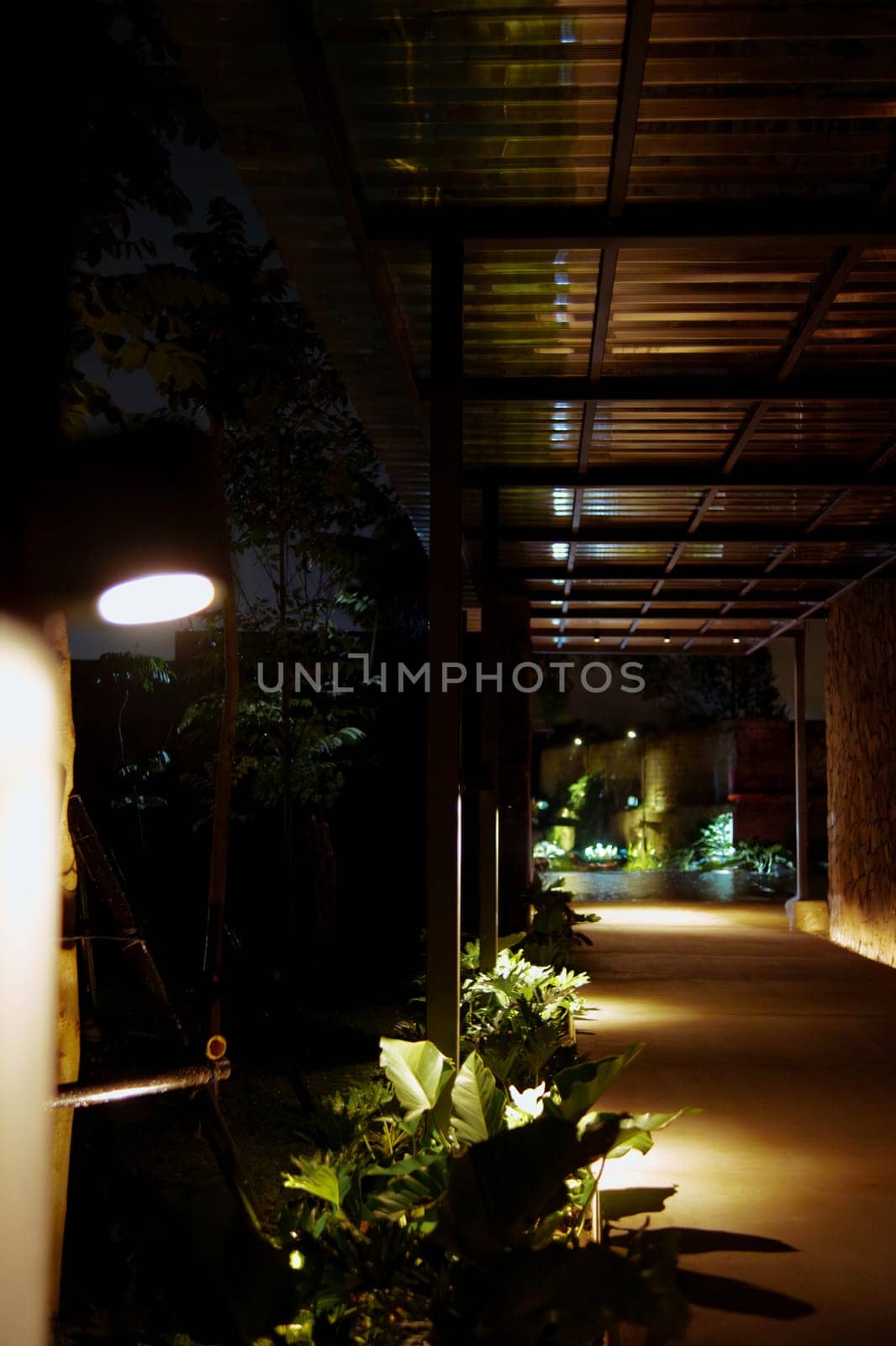 a dimly lit walkway at night with plants and flickering light at a cafe