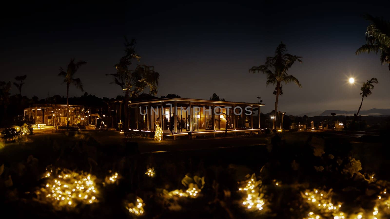 Tropical resort at night with illuminated bungalows and palm trees under a moonlit sky.