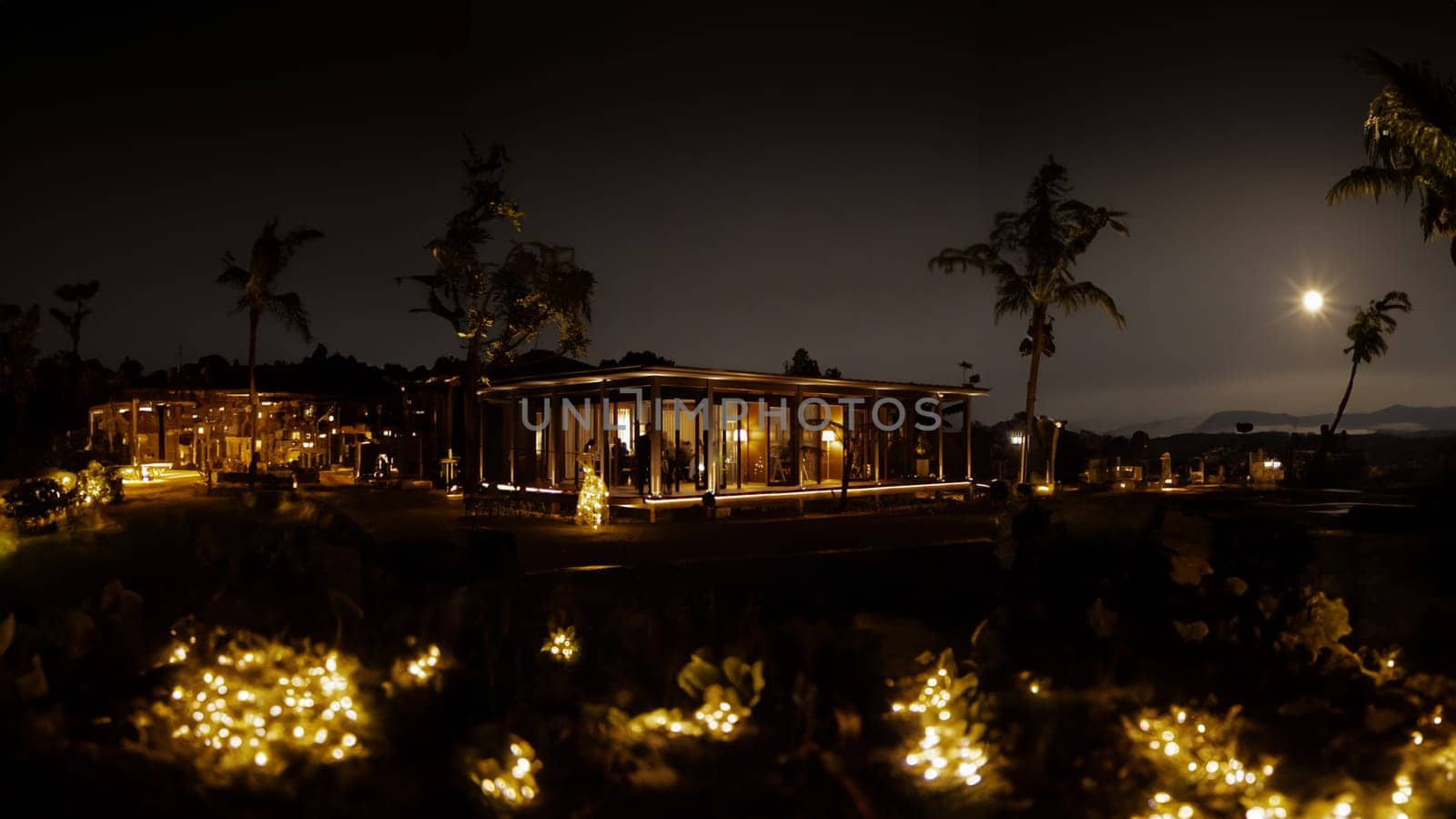 Tropical resort at night with illuminated bungalows and palm trees under moonlight.
