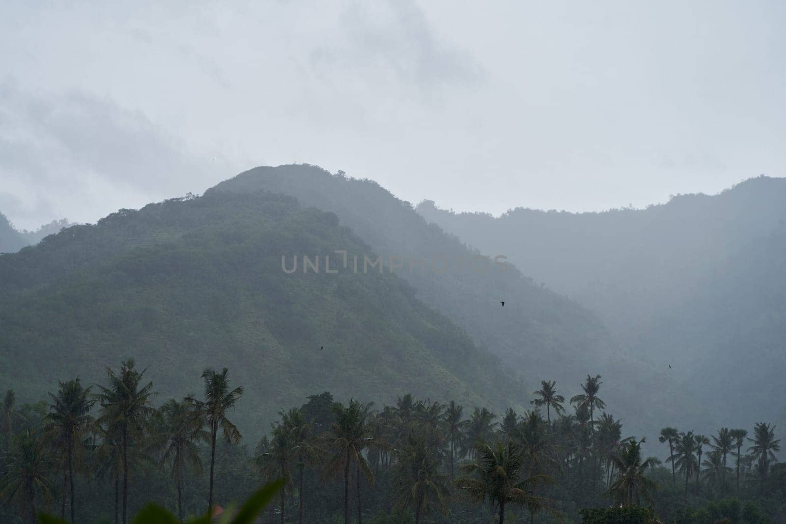 A tropical rainstorm in a rice field with cascading mountains and palm trees