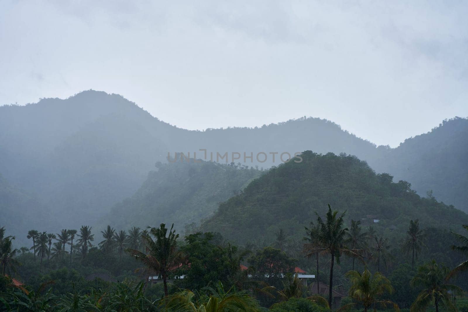 A tropical rainstorm in a rice field with cascading mountains and palm trees