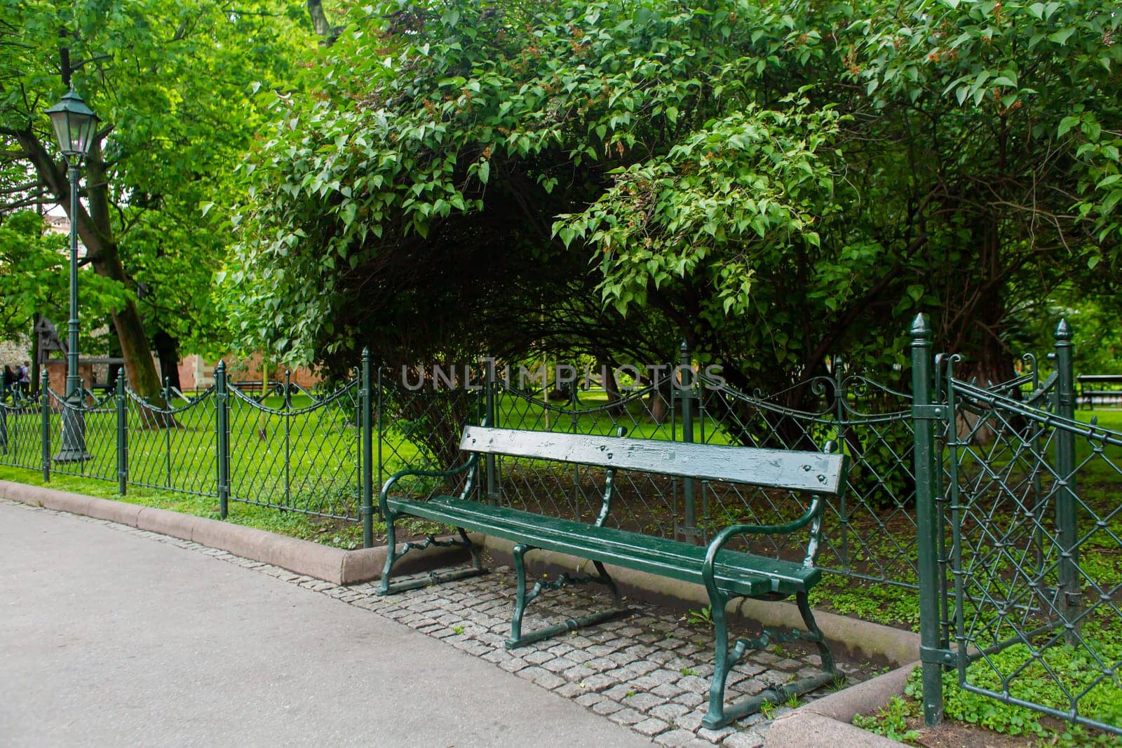 A wooden bench in the park in the pre-sunset sun