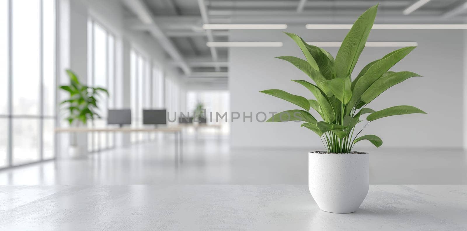 Spacious workspace: bright interior, greenery touch, blank text area, functional layout, peaceful ambiance, natural light, modern aesthetic, serene atmosphere, professional tone, inviting atmosphere