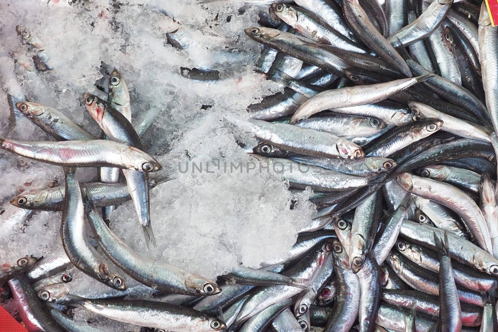 A stunning display of fresh fish on ice, showcasing vibrant seafood options in a market