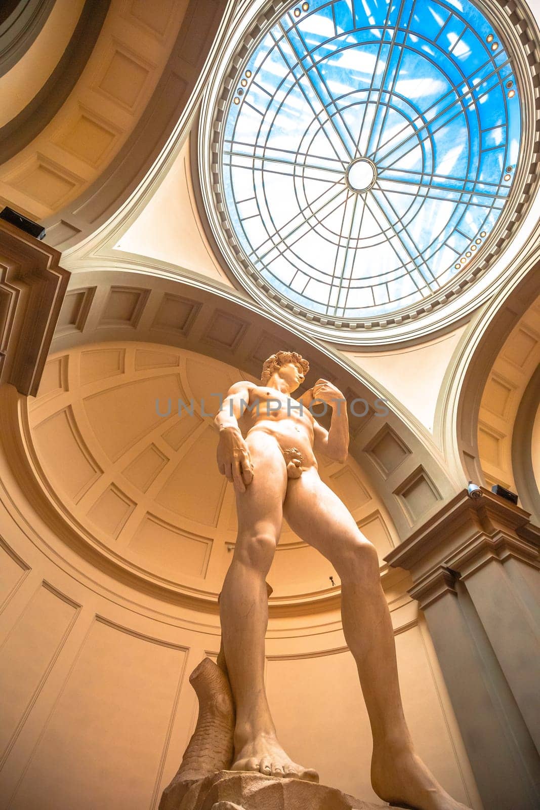 The Statue of David, by Michelangelo Buonarroti  by xbrchx