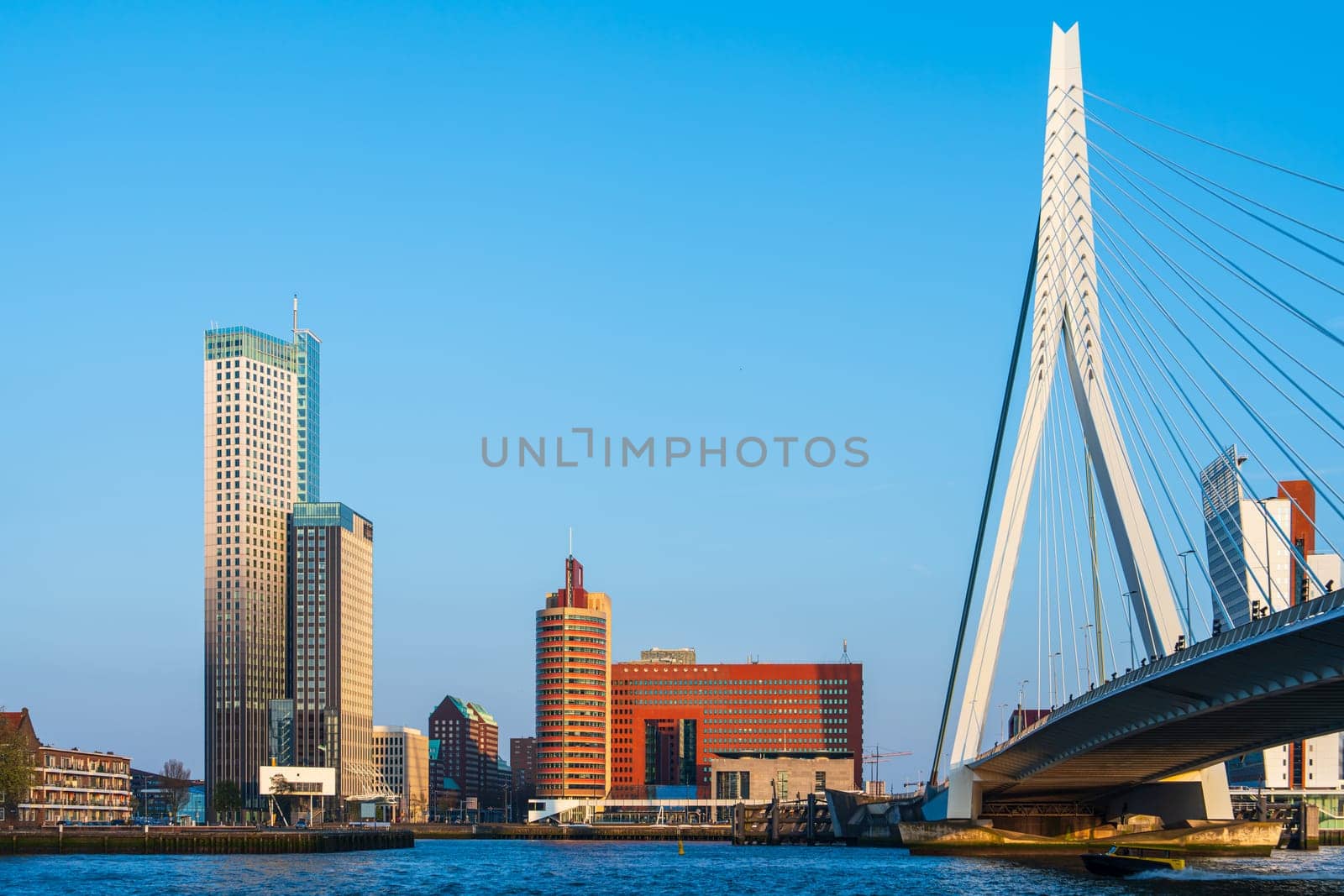 Rotterdam skyline at sunny day. Panoramic view. Spectacular Skylines, Captivating Beauty of Rotterdam's City Center Revealed