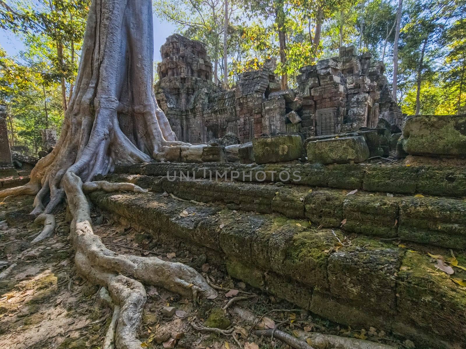 Ruin of ancient Ta Nei Wat temple in Angkor, Cambodia