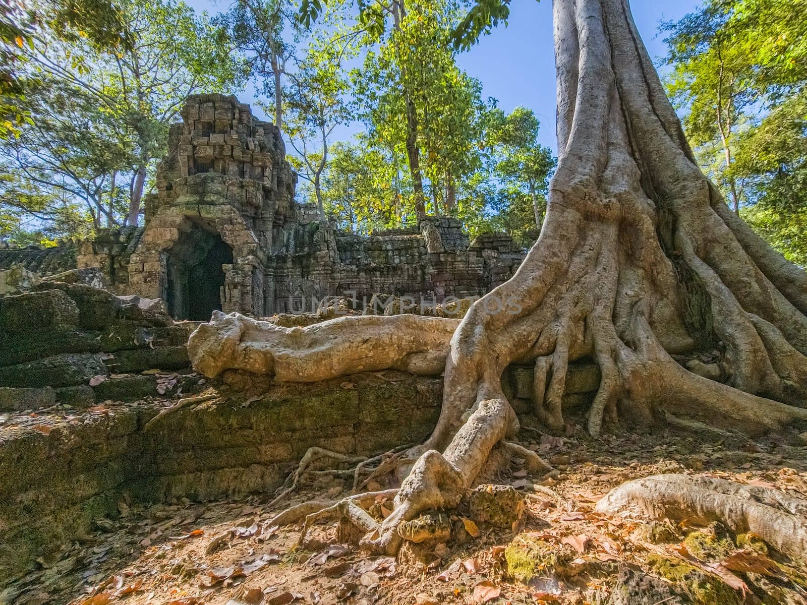 Ruin of ancient Ta Nei Wat temple in Angkor, Cambodia