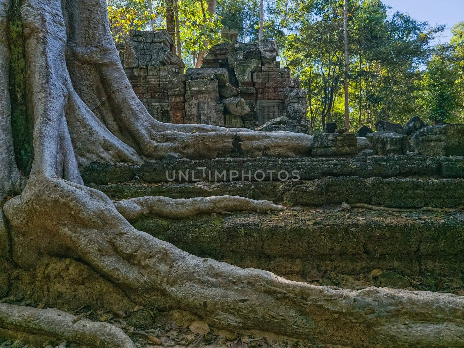 Ruin of ancient Ta Nei Wat temple in Angkor, Cambodia