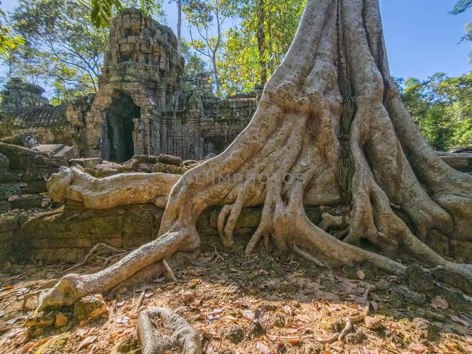 Ruin of ancient Ta Nei Wat temple in Angkor, Cambodia