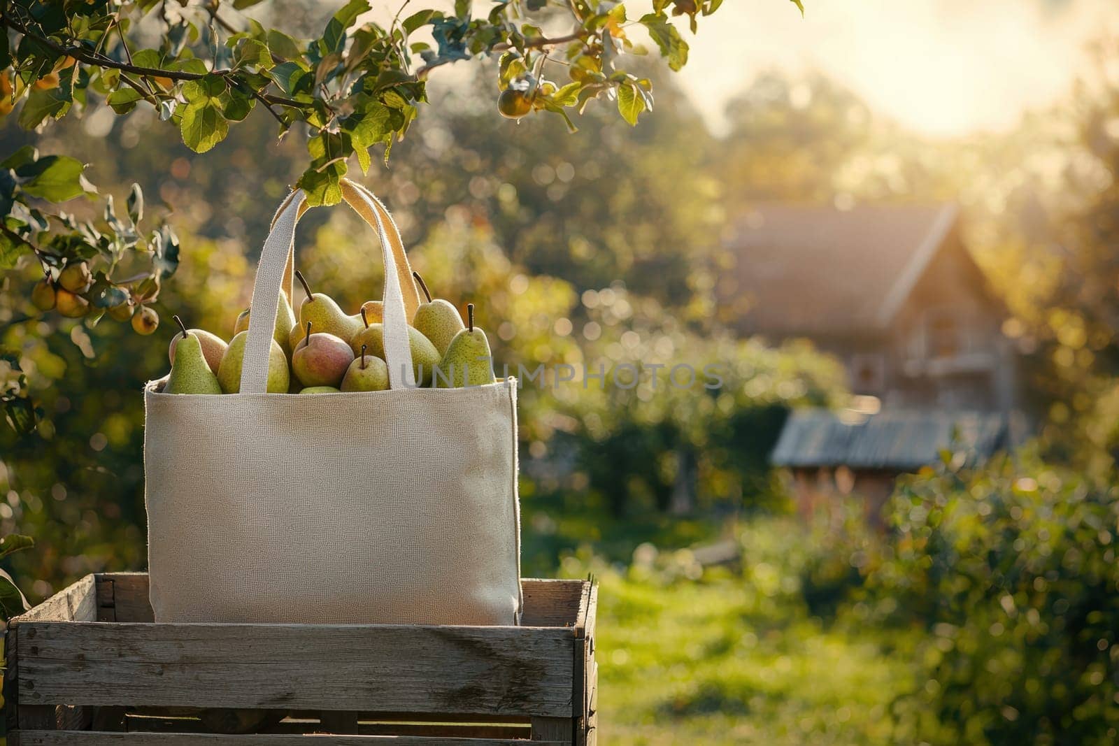 Reusable tote brimming with fresh apples and pears on a wooden crate in a picturesque orchard setting. the scene embodies rustic charm and autumn harvest vibes, ideal for seasonal design projects, posters, and sustainable lifestyle themes.