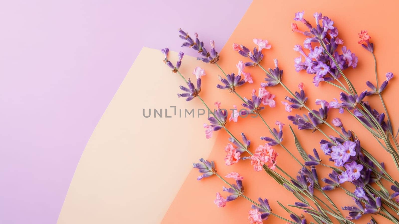 lavender and peach color texture Background
