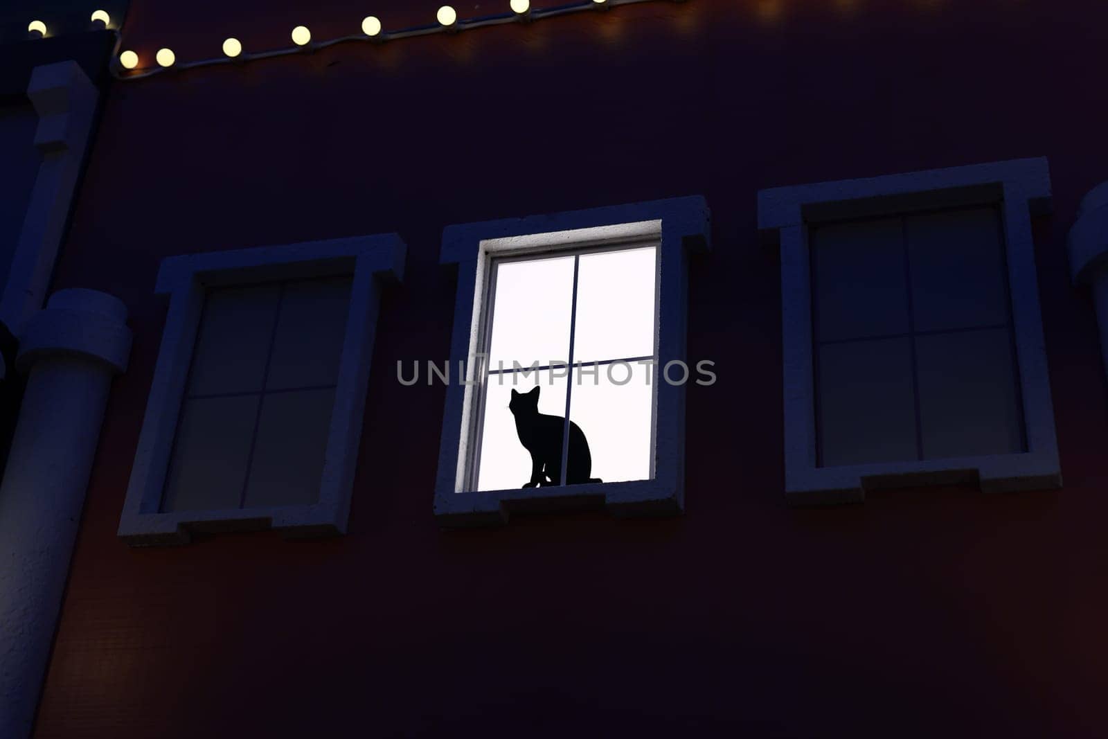 A mysterious cat silhouette quietly sits in a window, beautifully illuminated by soft light during the night