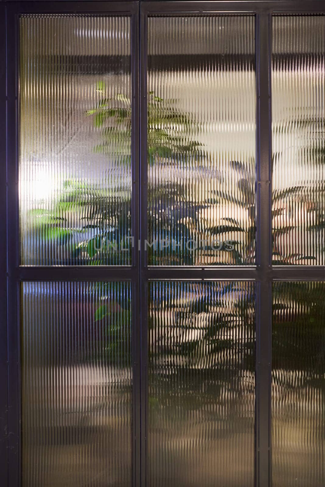 A beautifully blurred view through a misty window showcasing an array of vibrant green plants growing