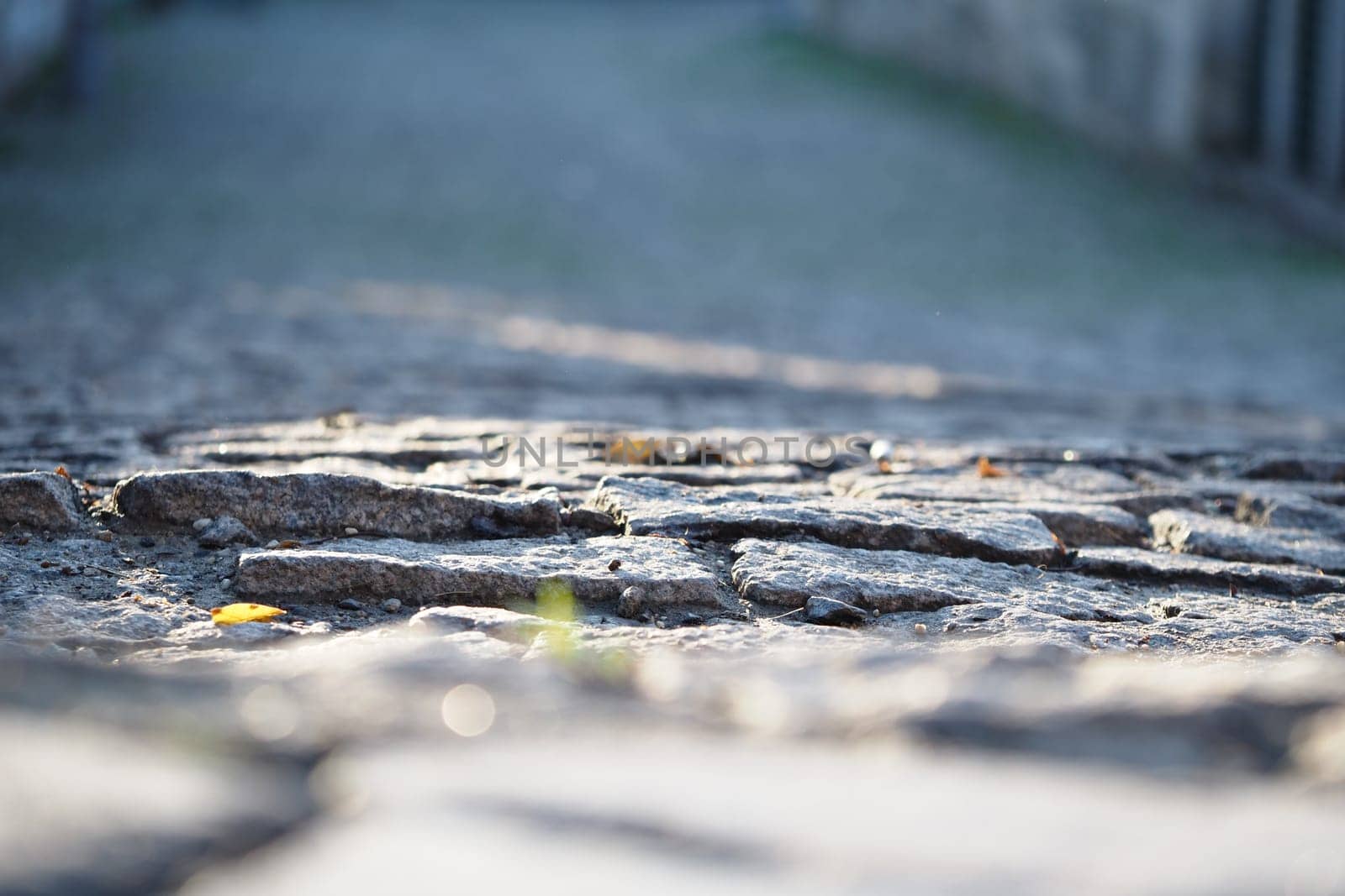 This image shows a closeup of a textured cobblestone street with an intricate pattern