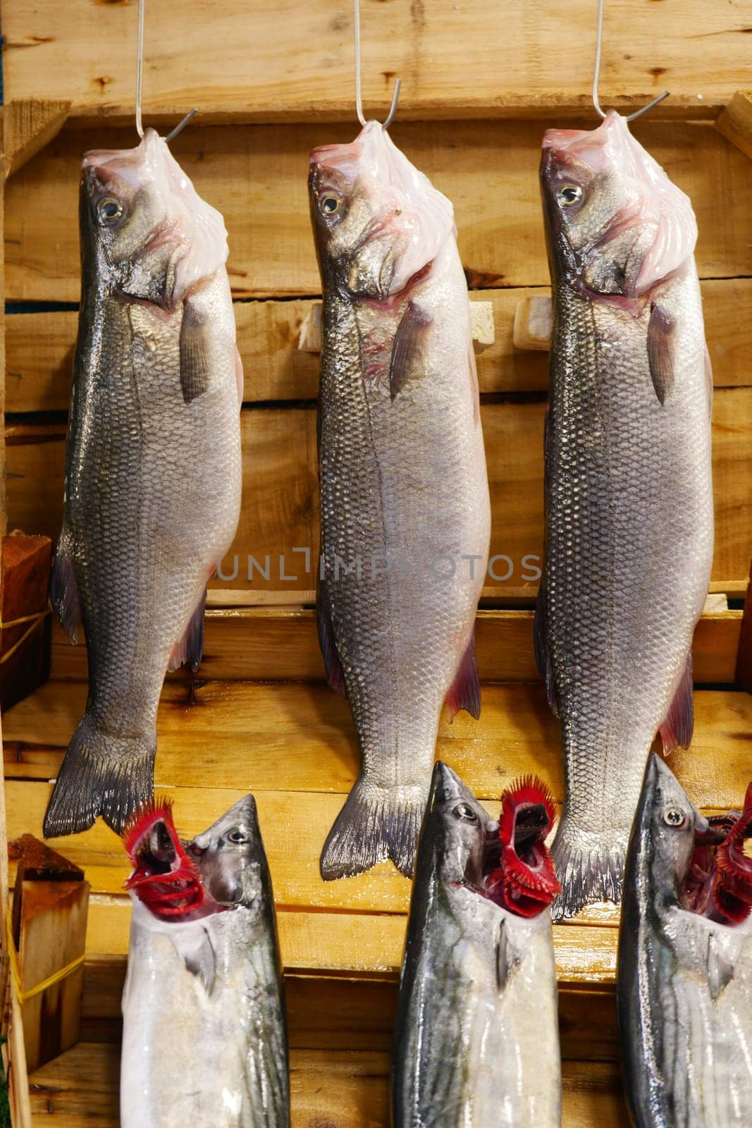 A vibrant and colorful display of fresh fish hanging gracefully for sale in a bustling market