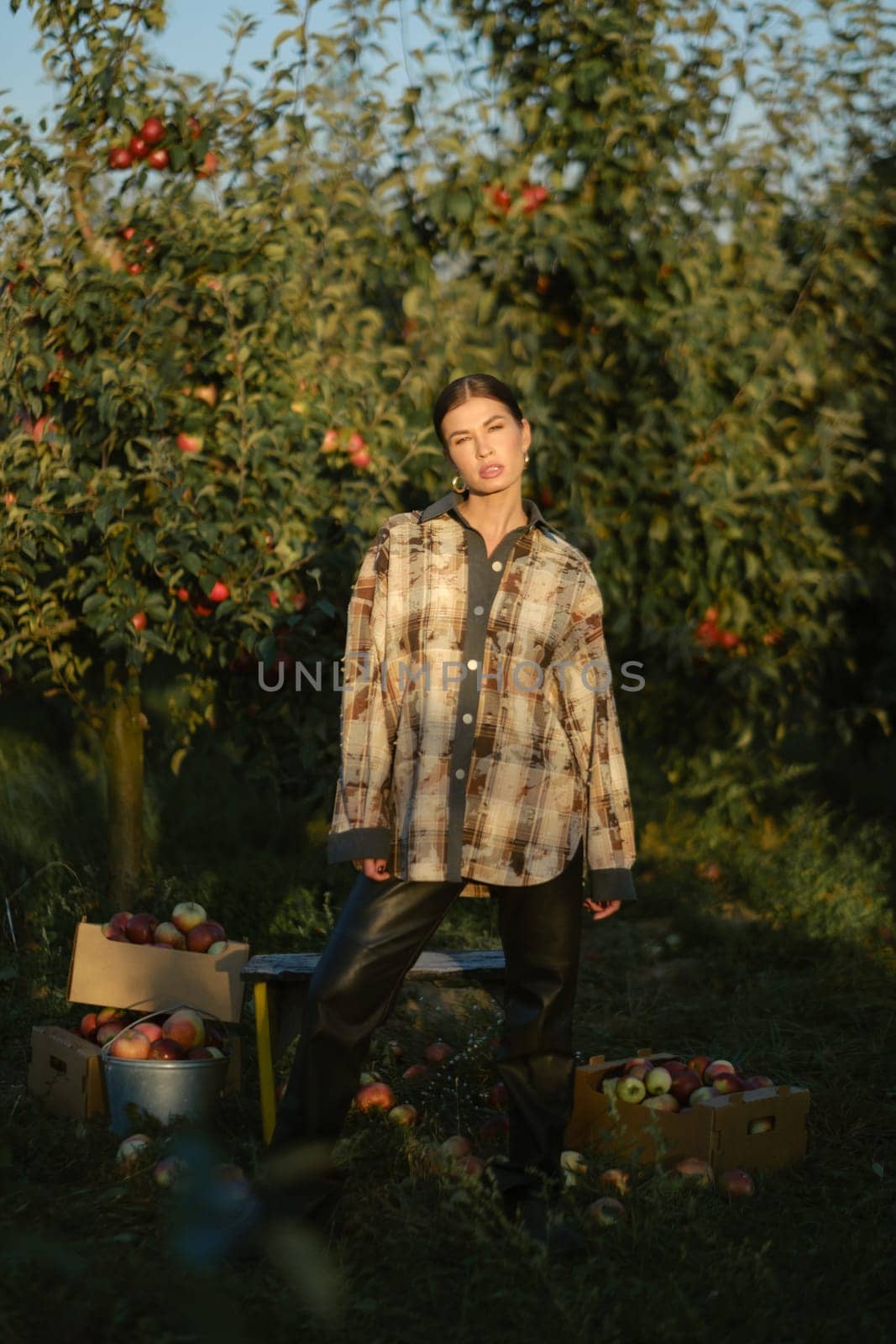 Stylish girl in black clothes stands near the harvested apples in a sunny fall orchard.