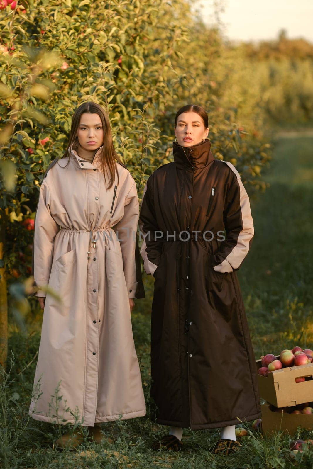 Two stylish girls in raincoats in an apple orchard. Fashion show in an orchard.