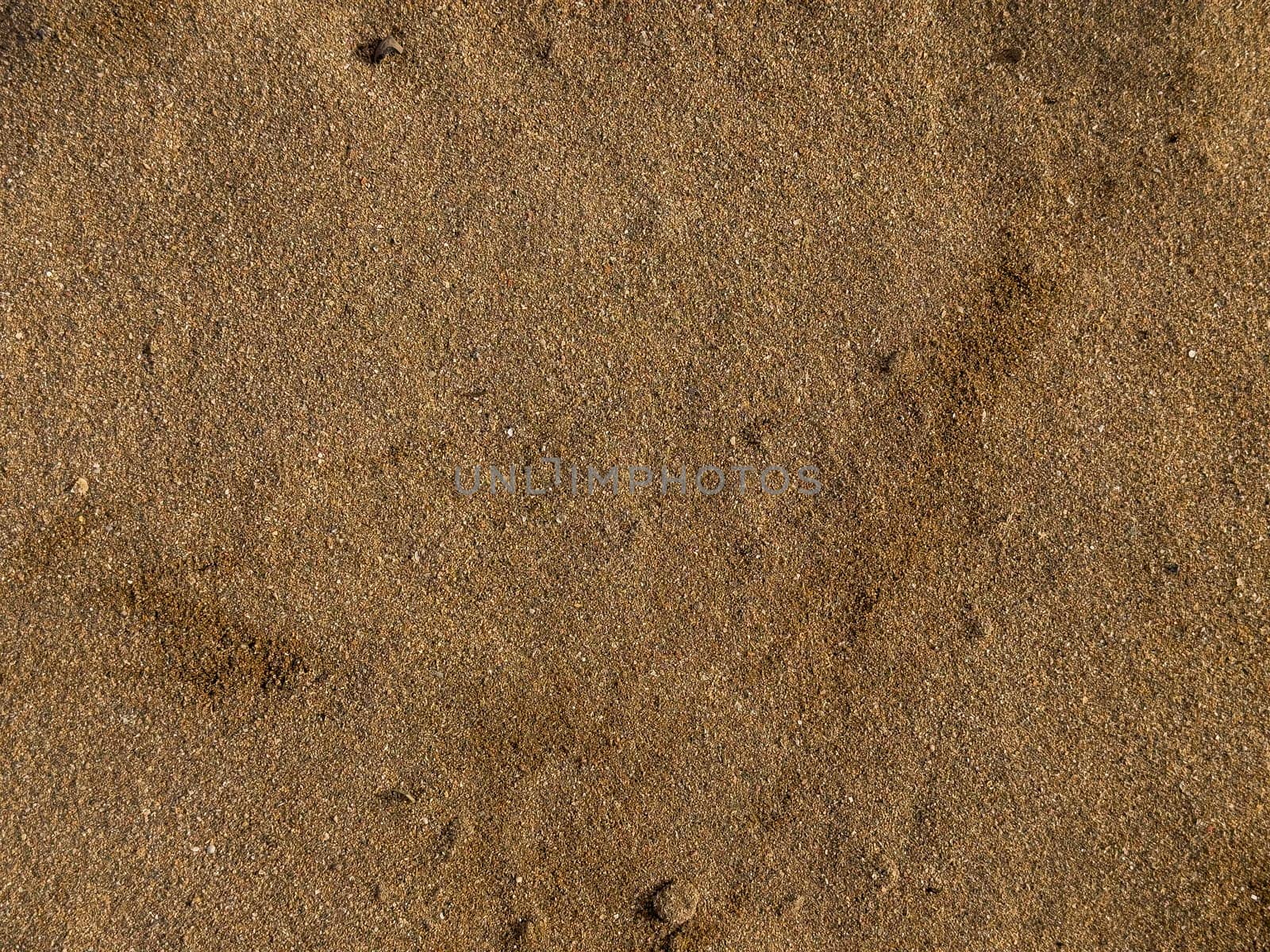 Golden brown sandy beach surface with small pebbles and subtle patterns.