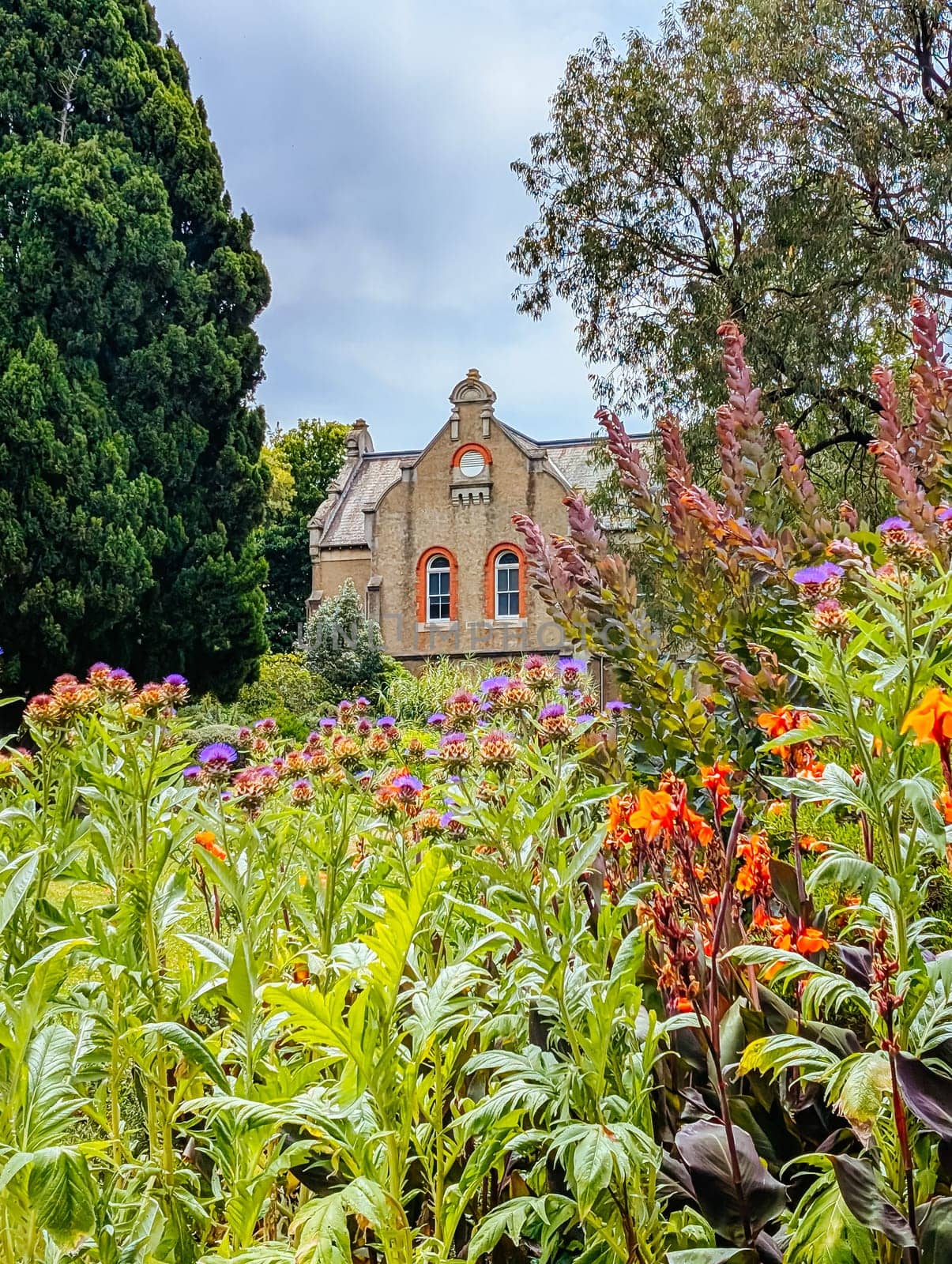 MELBOURNE, AUSTRALIA - DECEMBER 26 2024: Abbotsford Convent on a hot summer's day in Melbourne Australia