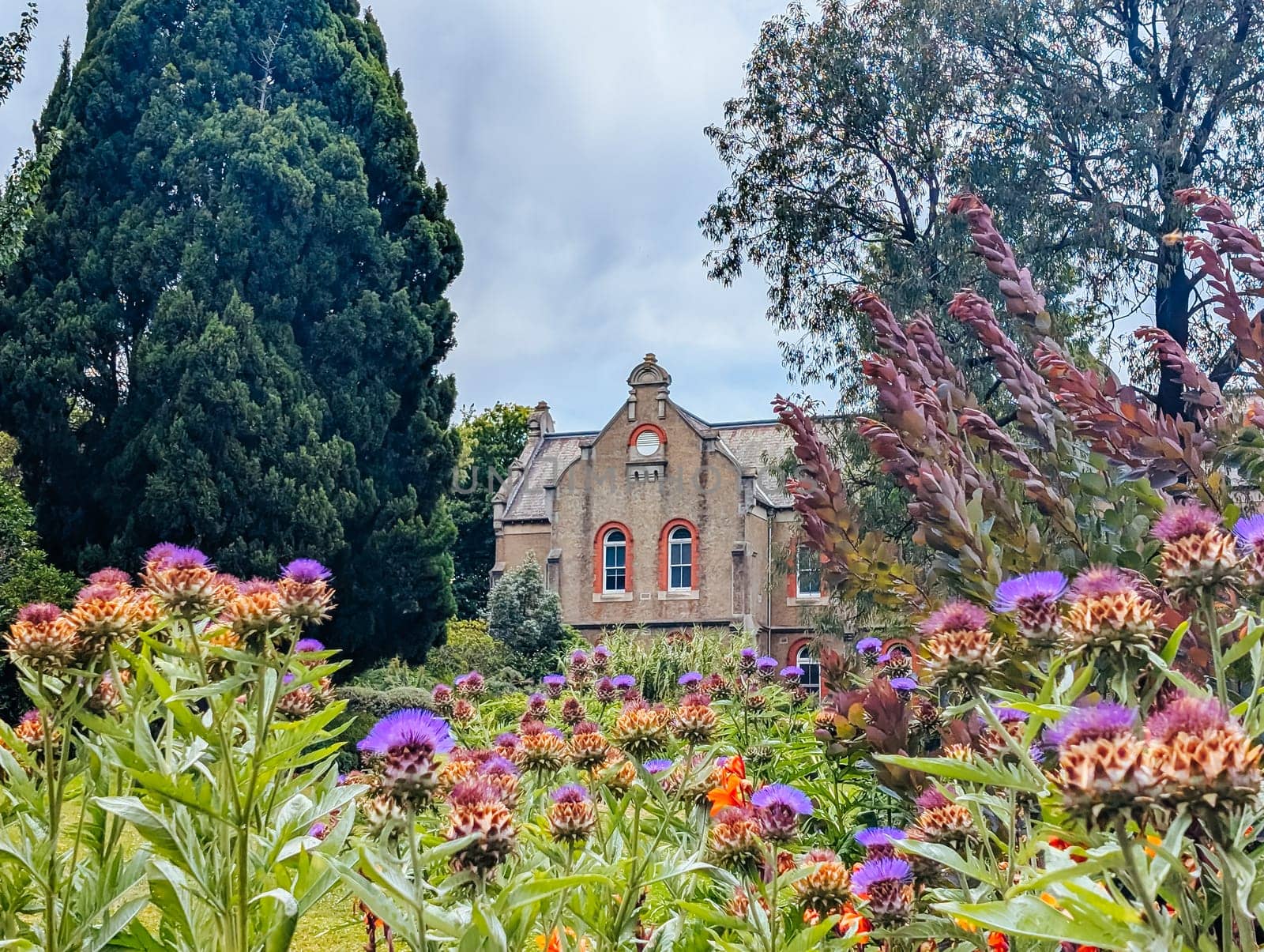 MELBOURNE, AUSTRALIA - DECEMBER 26 2024: Abbotsford Convent on a hot summer's day in Melbourne Australia