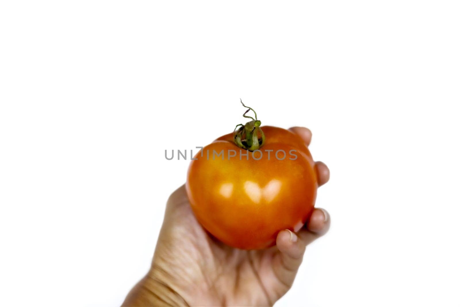 hand holding fresh tomato isolated on white background