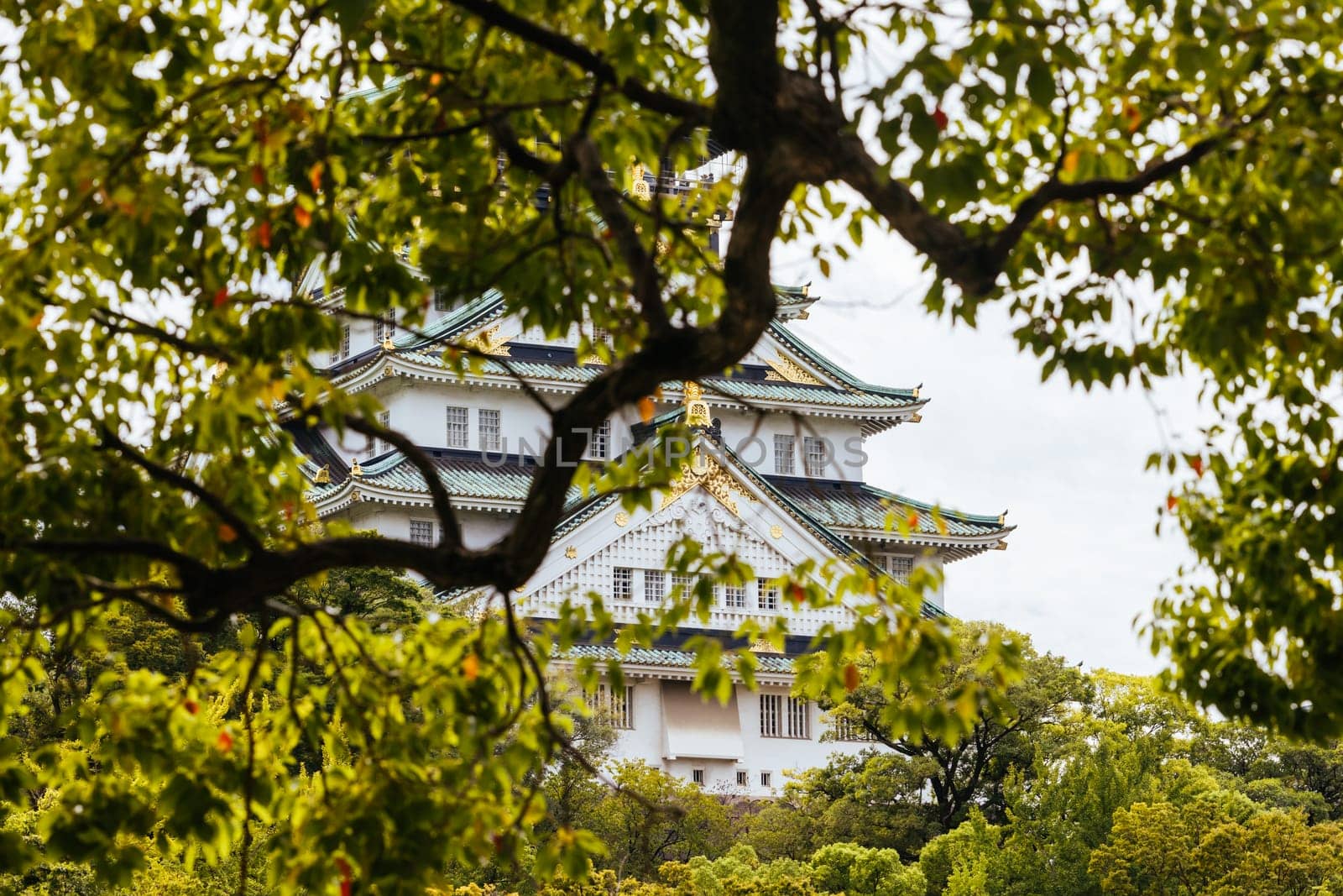OSAKA, JAPAN - SEPTEMBER 25 2024: The iconic Osaka Castle and lush surrounds on a warm clear autumn day in Osaka, Japan on September 25th 2024