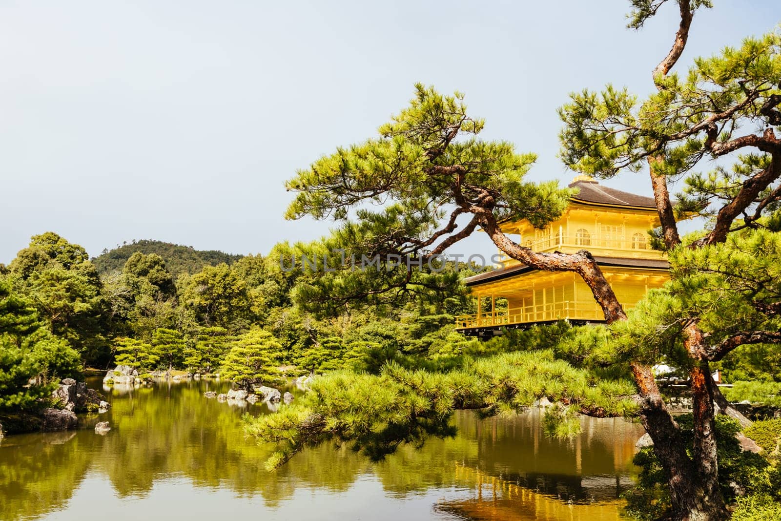 The world famous Kinkakuji Temple (The Golden Pavilion) in Kyoto, Japan on a warm autumn morning